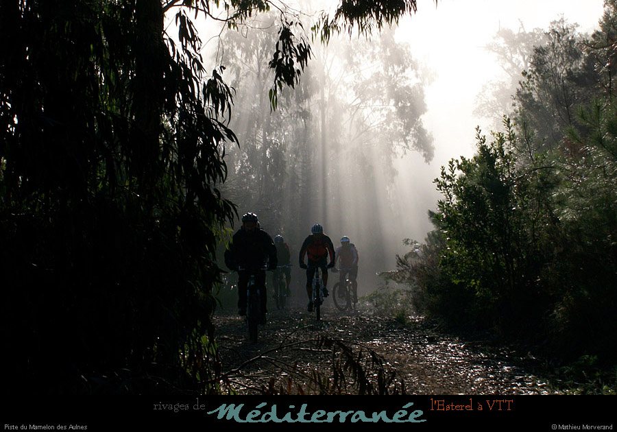 20111223_vtt_esterel_pistedumamelondesaulnes4