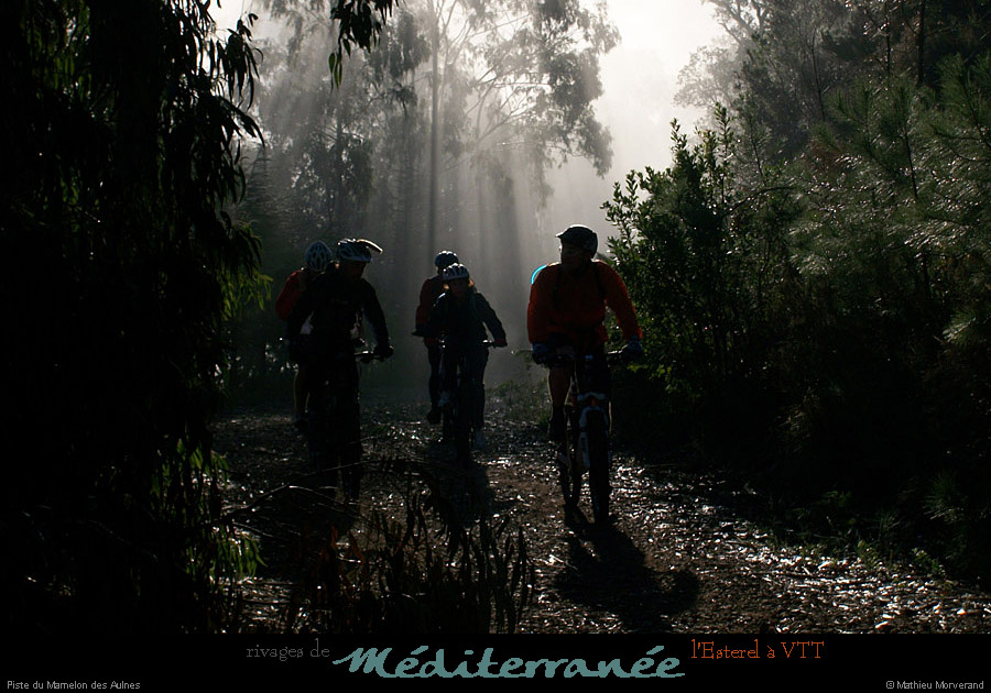 20111223_vtt_esterel_pistedumamelondesaulnes6