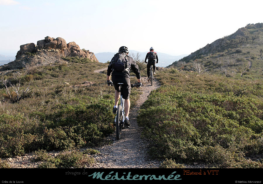 20120118_vtt_esterel_crete delalouve03