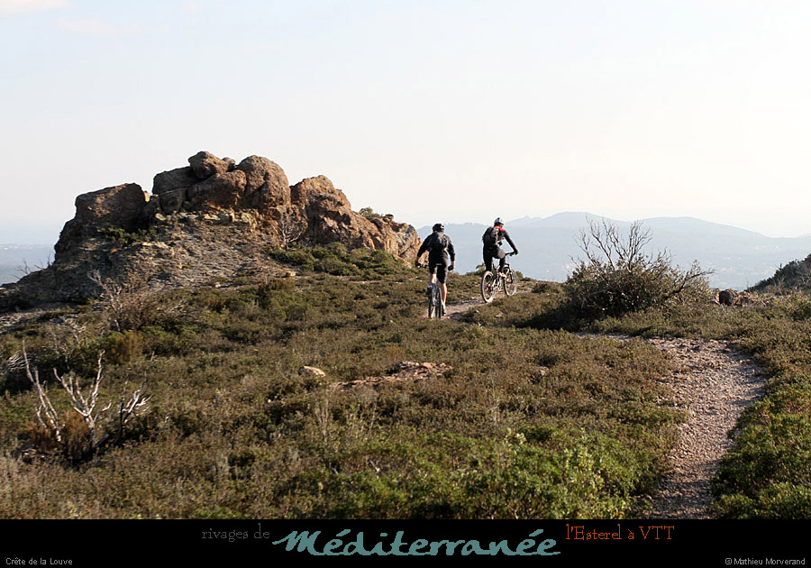 20120118_vtt_esterel_crete delalouve05