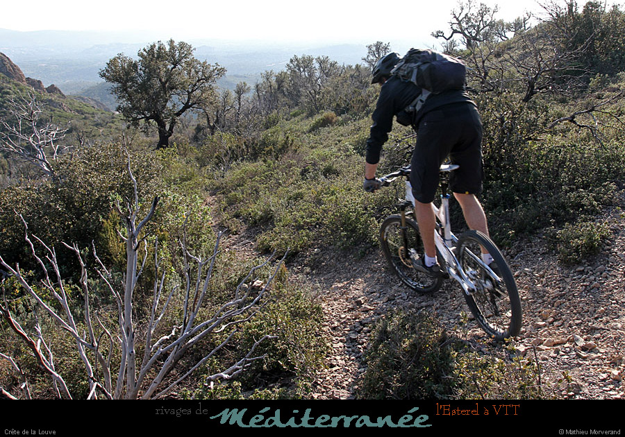 20120118_vtt_esterel_crete delalouve07