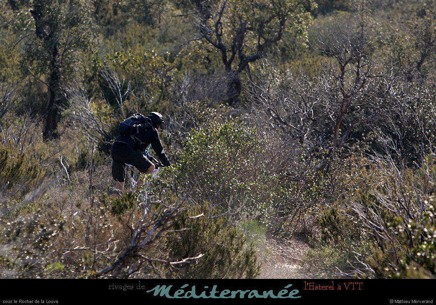20120118_vtt_esterel_sslerocher delalouve11