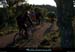 20111219_vtt_esterel_pistedepastourel