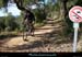 20111223_vtt_esterel_coldeslentisques