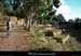 20111223_vtt_esterel_maisonforestieredes3termes