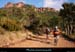 20111223_vtt_esterel_pistedessuvieres2