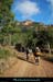 20111223_vtt_esterel_pistedessuvieres3
