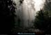 20111223_vtt_esterel_pistedumamelondesaulnes3