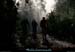 20111223_vtt_esterel_pistedumamelondesaulnes6