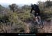 20120118_vtt_esterel_crete delalouve07