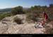 20130815_vtt84_bollene_cornichechabrieres1