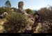 20130815_vtt84_bollene_cornichechabrieres4