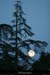 20100427_lunedepuislabigournette1