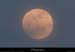 20130224_labeaume_lunebigournette