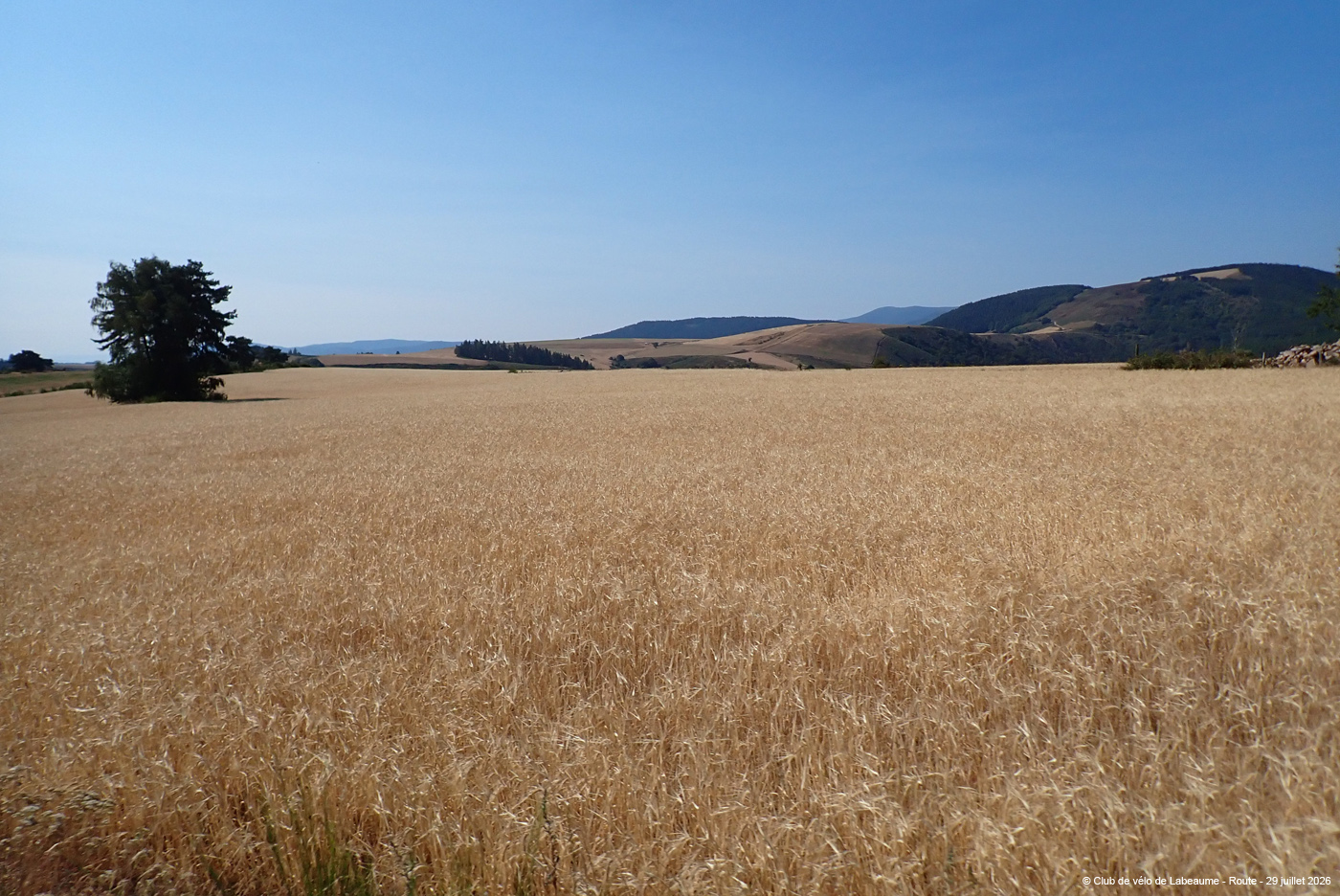 20260729_091