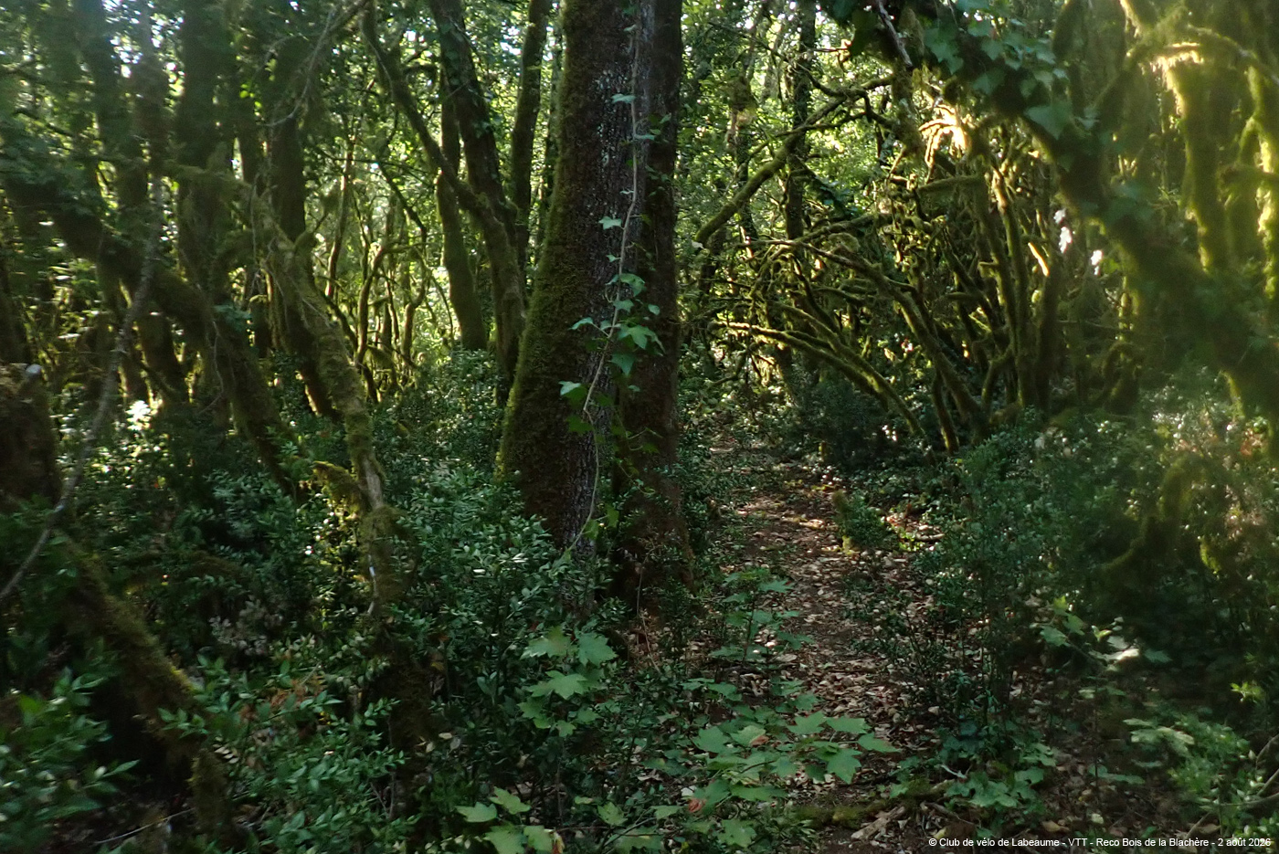 20260802_070