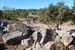 20260913v36