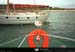19900903_scilly_hughtown_mouette5