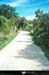 19900904_scilly_tresco_chateau_parc