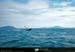 19900927_peninsulelleyn_zodiac