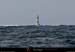 20120126_almadiesphare17