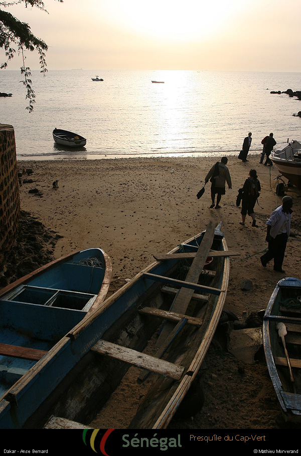 20120129_006