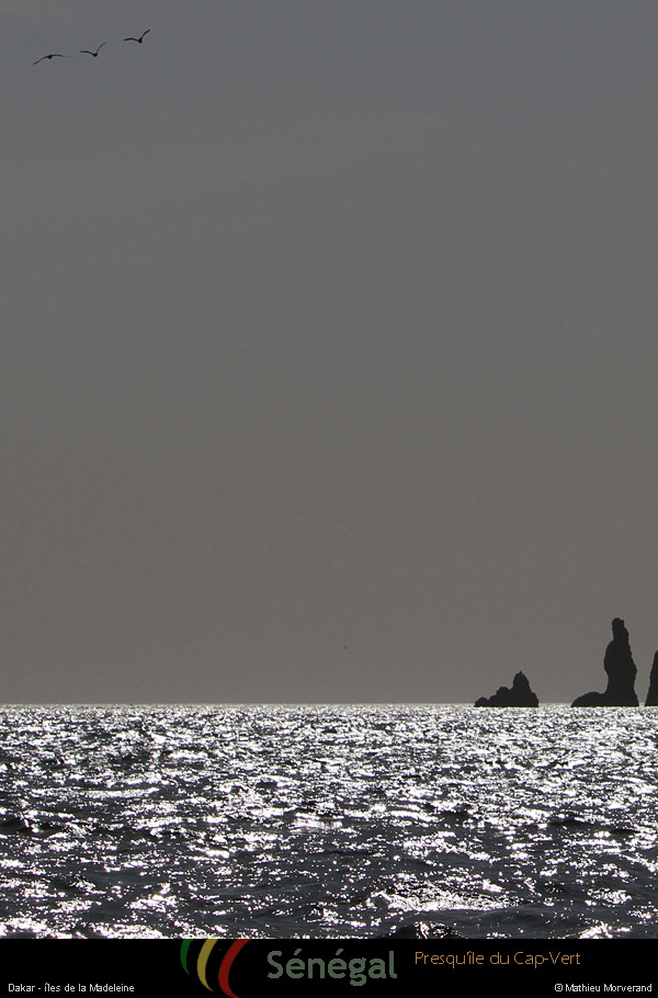 20120126_150