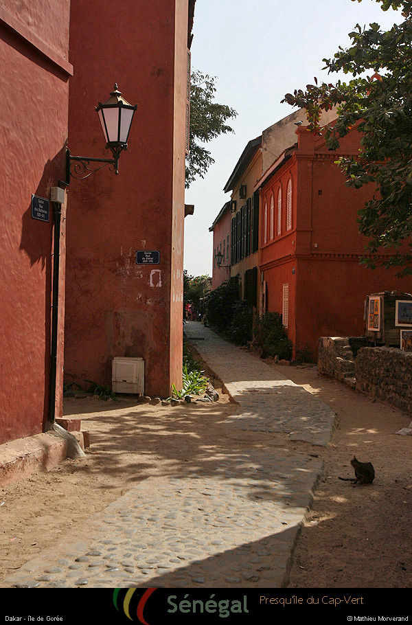 20120129_062