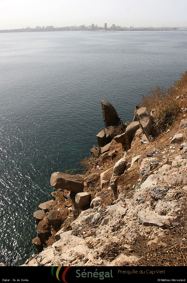 20120129_074