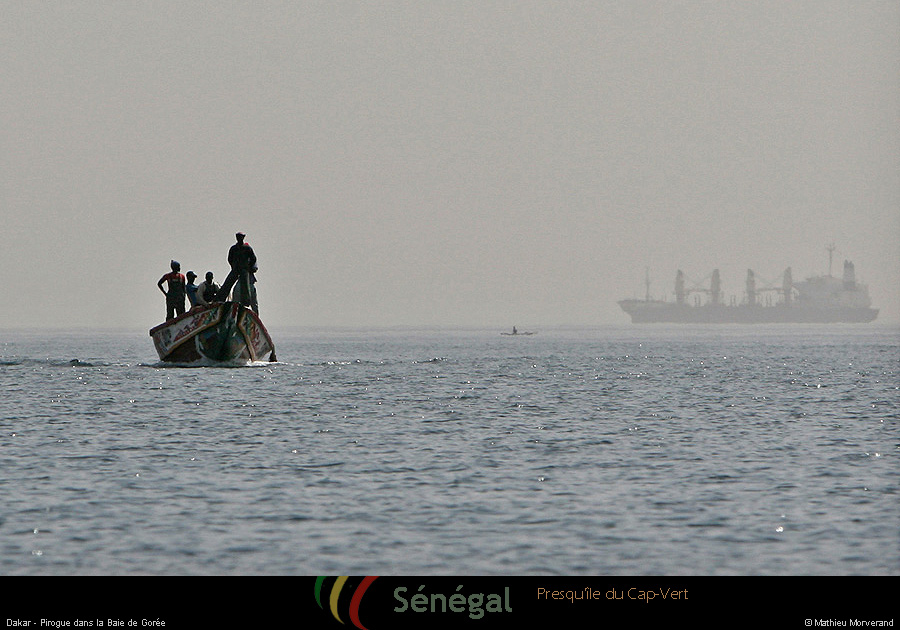 20120128_piroguegrde01