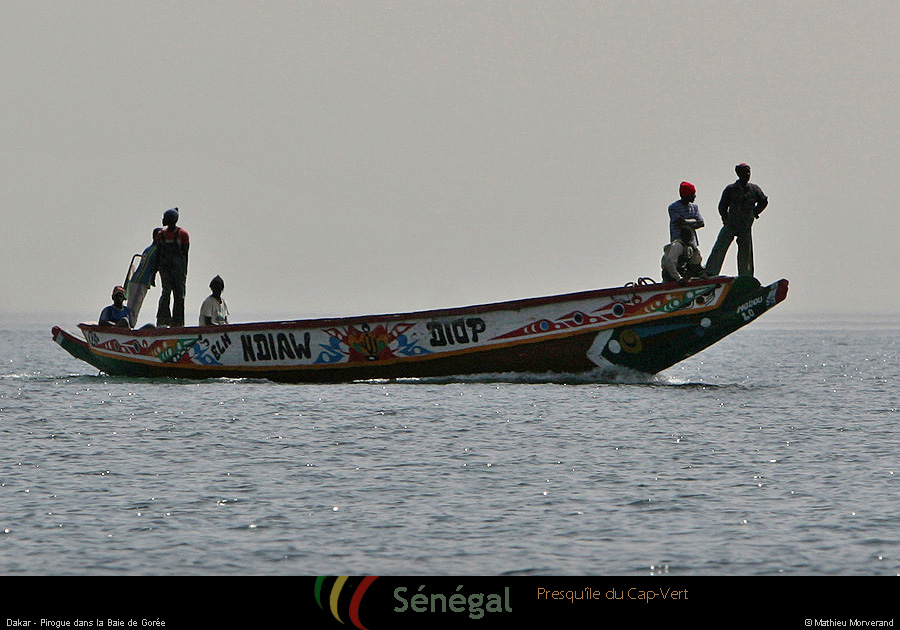 20120128_piroguegrde03