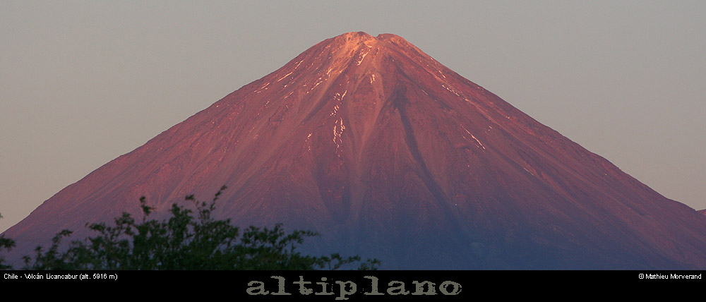 003_01_licacamburpano
