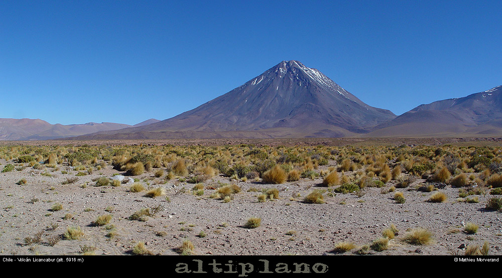 003_02_licacamburpano