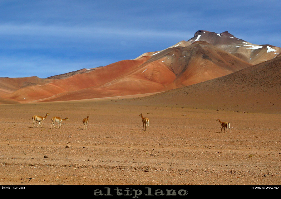 005_03_lipez