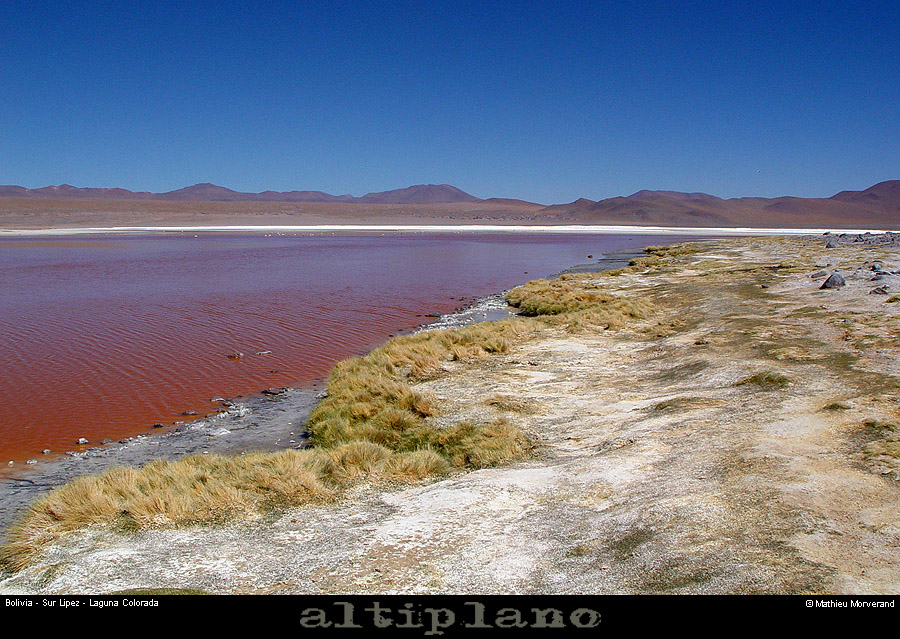 009_03_lagunacolorada