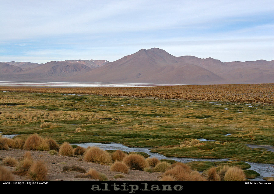 009_18_lagunacolorada