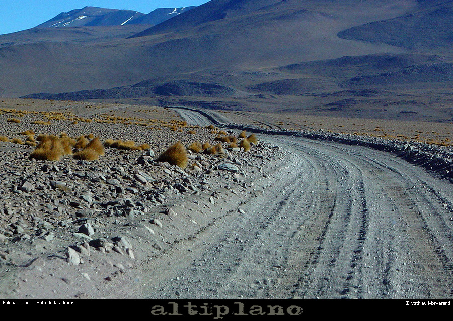 012_01_lipez