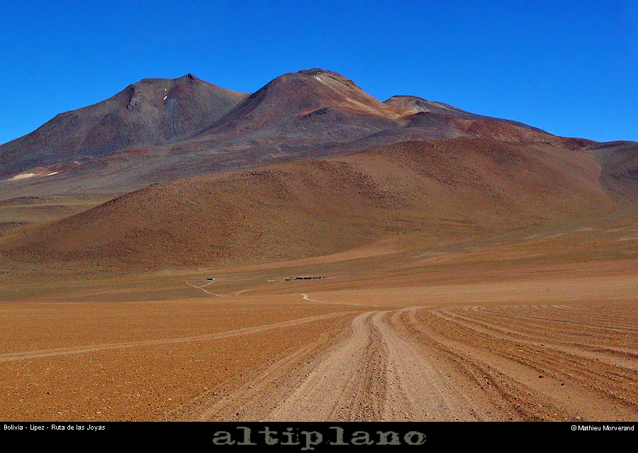 014_04_lipez