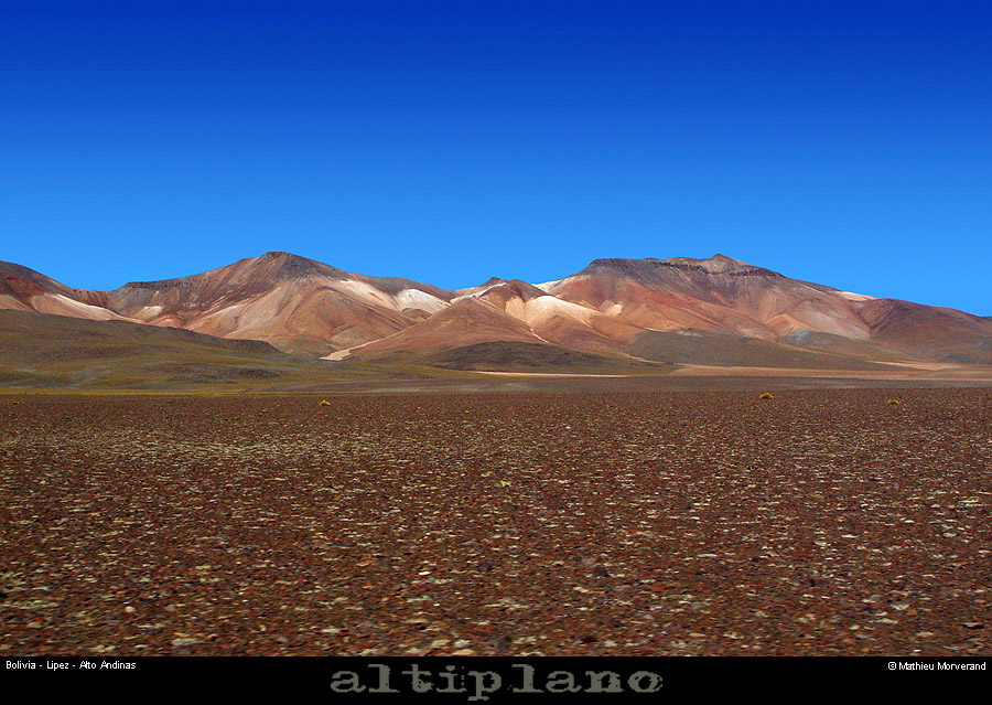 014_06_lipez