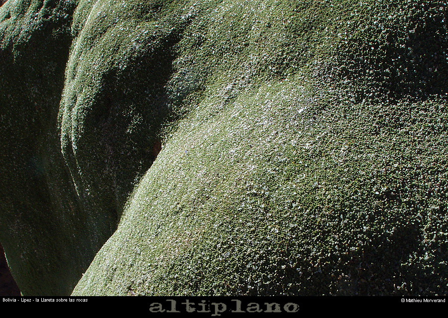 014_11_lipez