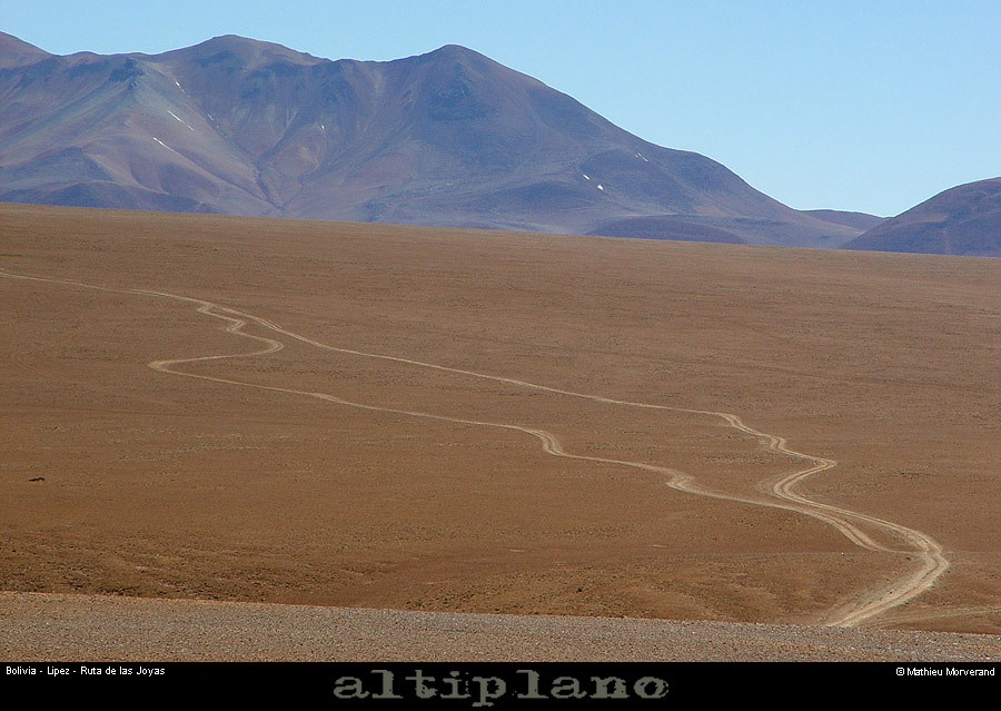 014_14_lipez