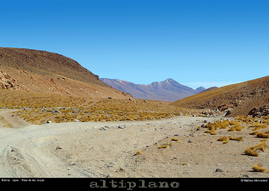 014_15_lipez