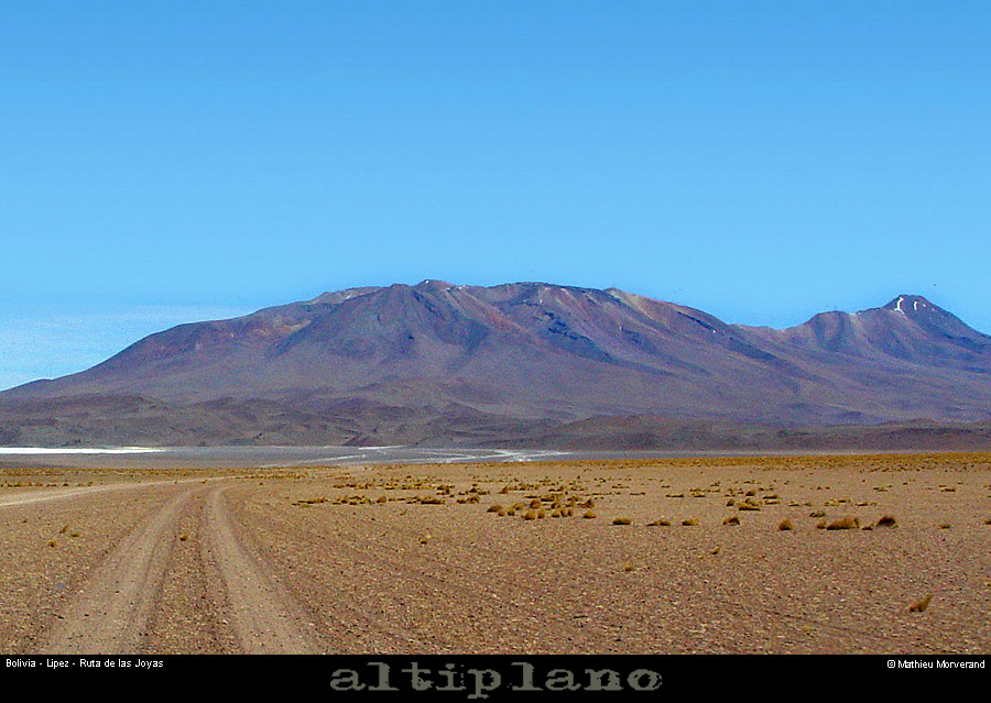 014_18_lipez