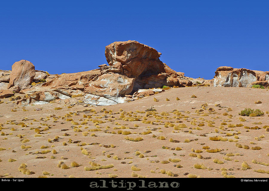 014_20_lipez