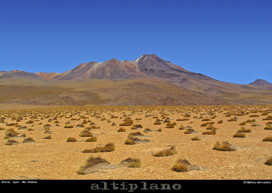 014_22_lipez