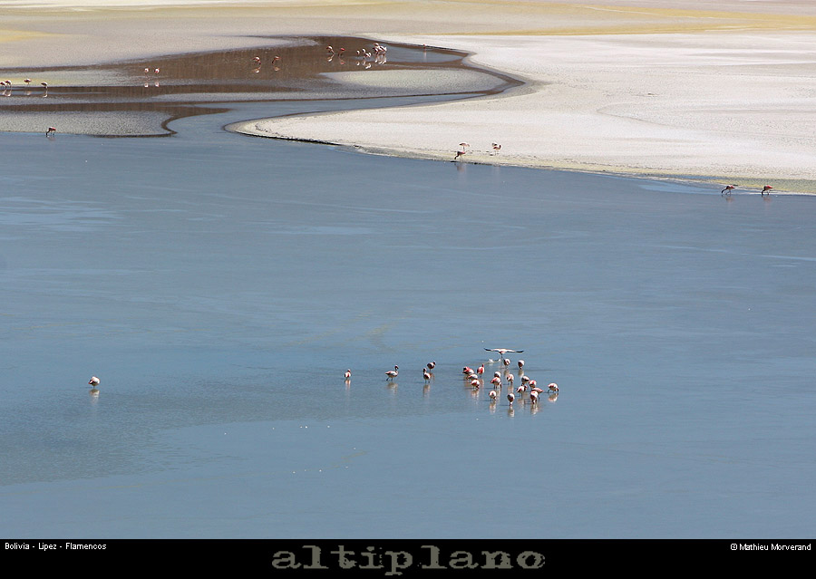 015_04_lagunachiarkkota