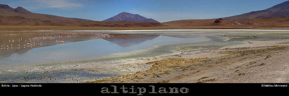 018_02_lagunahediondapano