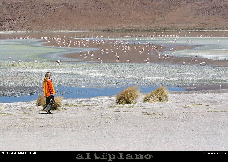 018_08_lagunahediondapano
