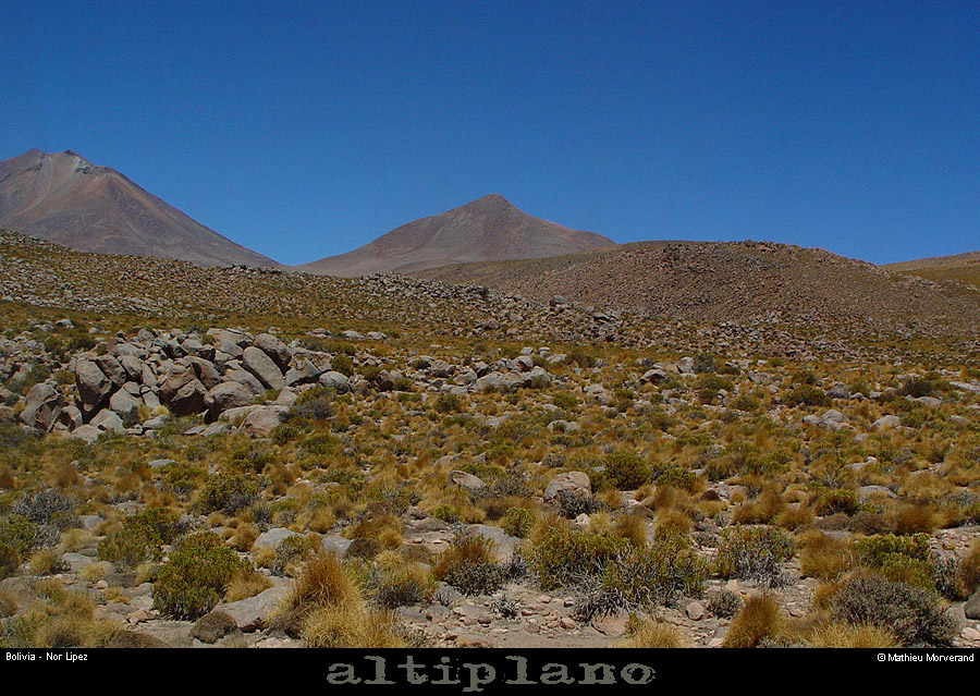 020_02_lipez