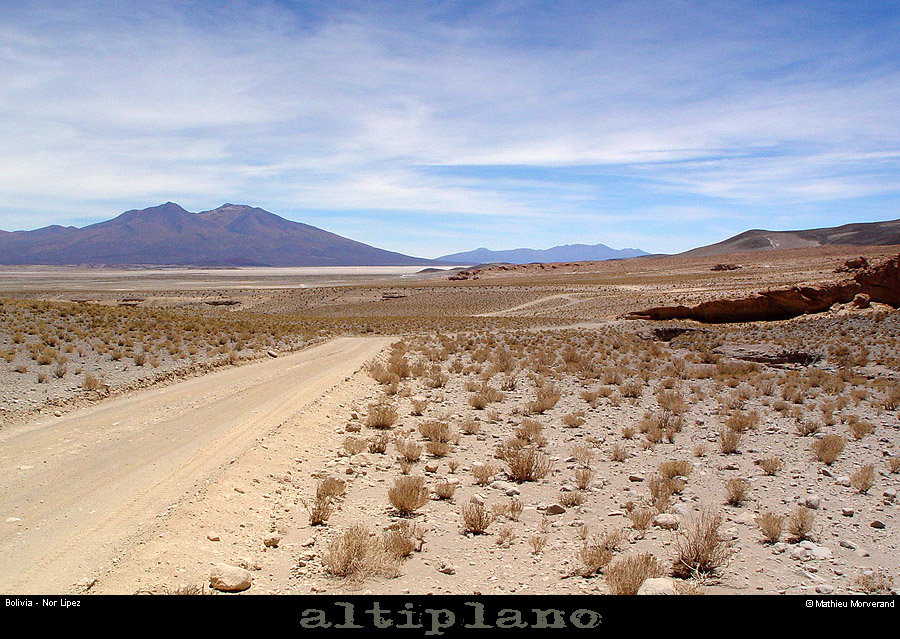 020_03_lipez